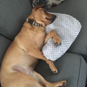 Meet your Posher, Stacy